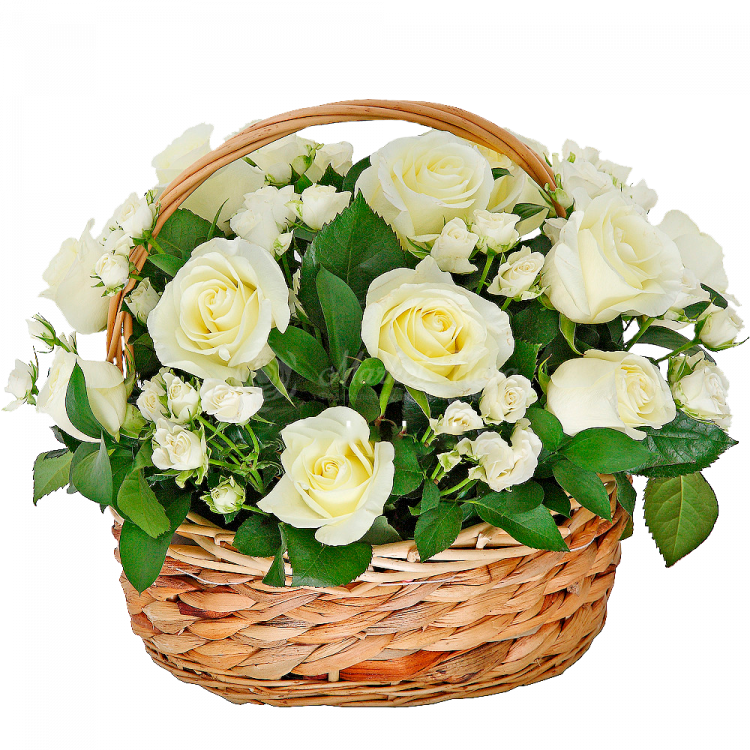 Белые розы кустовые в корзине «Белые сны»